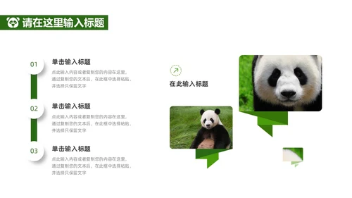 绿色实拍风保护大熊猫科普主题PPT模板