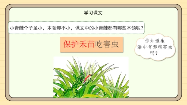 识字3 小青蛙（课件）