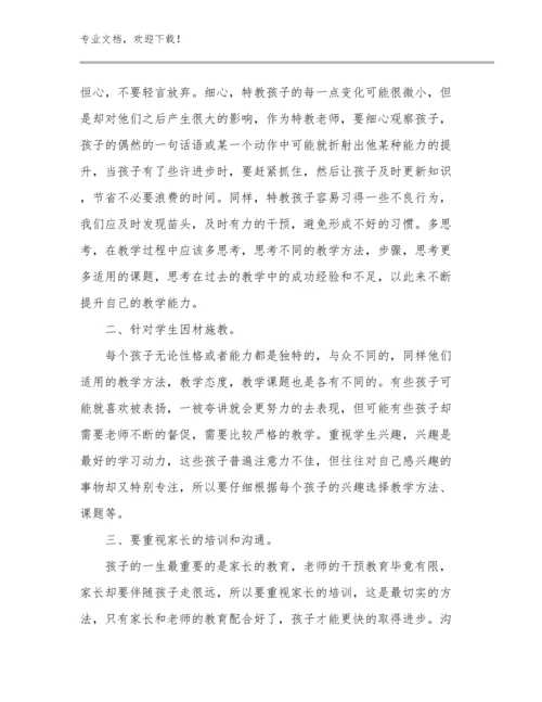 2023年务实担当教师心得体会例文27篇.docx