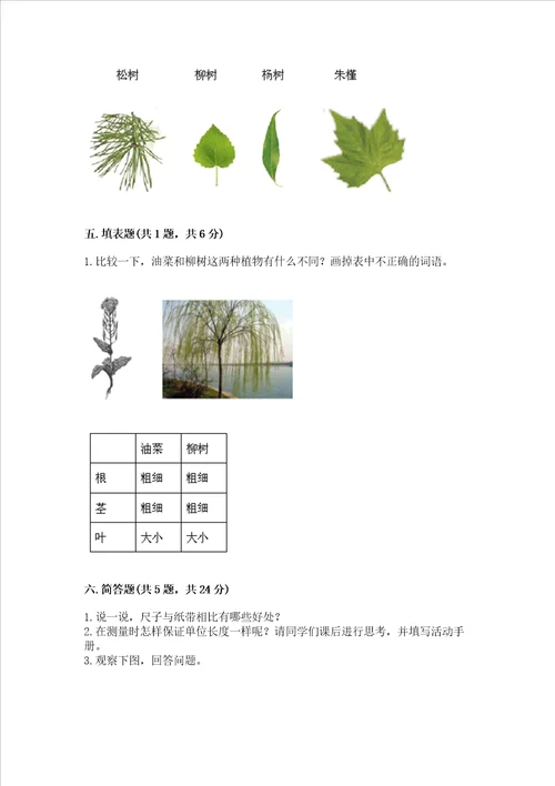教科版科学一年级上册期末测试卷附参考答案培优a卷