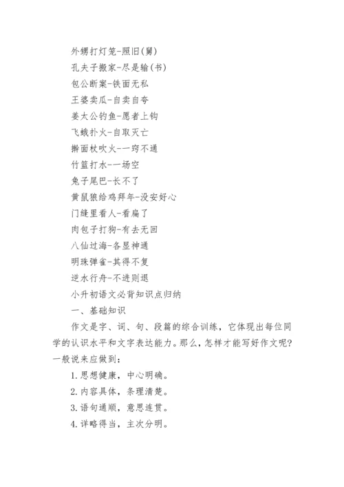 小升初语文必背知识点归纳总结.docx