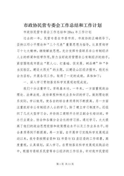 市政协民营专委会工作总结和工作计划 (2).docx