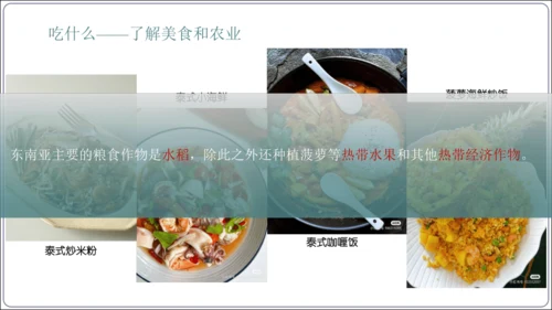 7.2 东南亚课件（共29张PPT）【2024春人教七下地理精品课件】