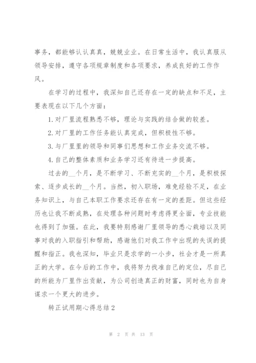 转正试用期心得总结5篇.docx