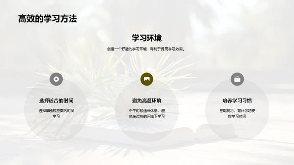 大暑生活指南