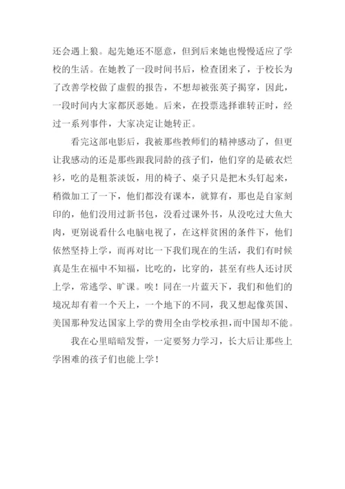 凤凰琴观后感100字.docx