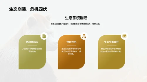 简约风其他行业教学课件PPT模板