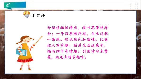 部编版语文三年级上册：第五单元习作例文我家的小狗vs我爱故乡的杨梅   课件（共22张PPT）