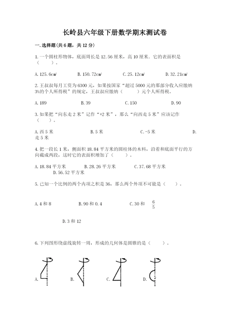 长岭县六年级下册数学期末测试卷审定版.docx