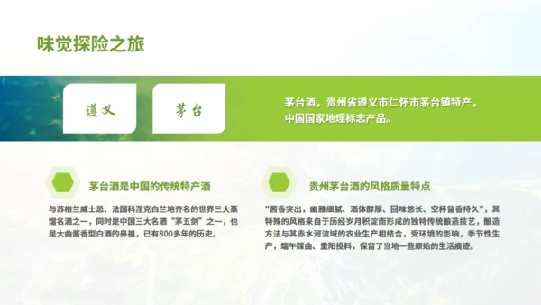 贵州文旅宣传旅游通用PPT模板