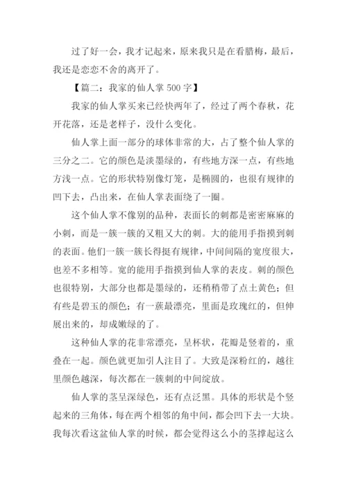 写物的作文500字.docx