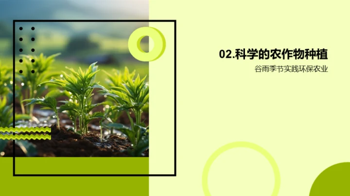 实践谷雨环保农业