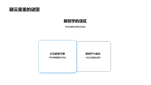 解剖学探索之旅