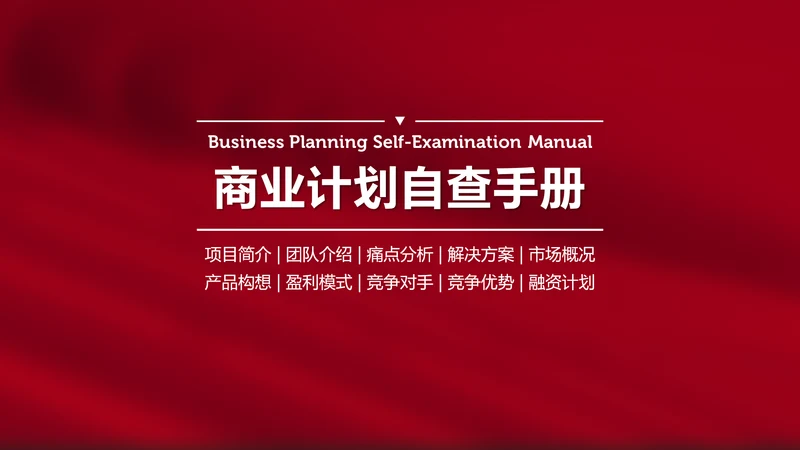 商业计划书自查手册ppt模板