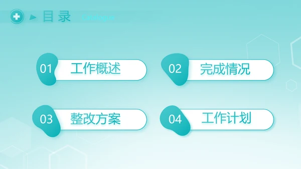 逆行者蓝色医生工作总结述职报告PPT