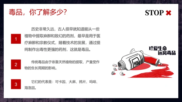 守护生命安全国际禁毒日通用PPT模板