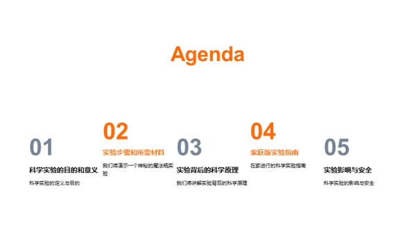 科学实验探秘之旅
