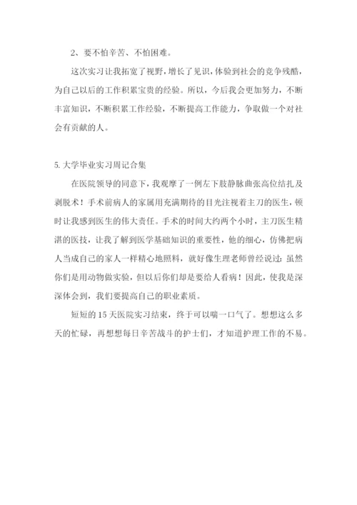 大学毕业实习周记合集【5篇】.docx