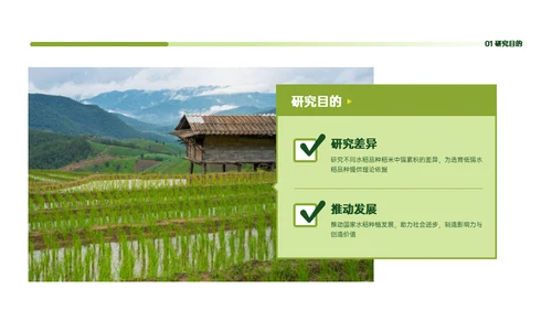 稻谷麦穗增产农作物与重金属污染通用PPT模板