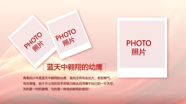 红色大气党支部党员大会工作总结PPT