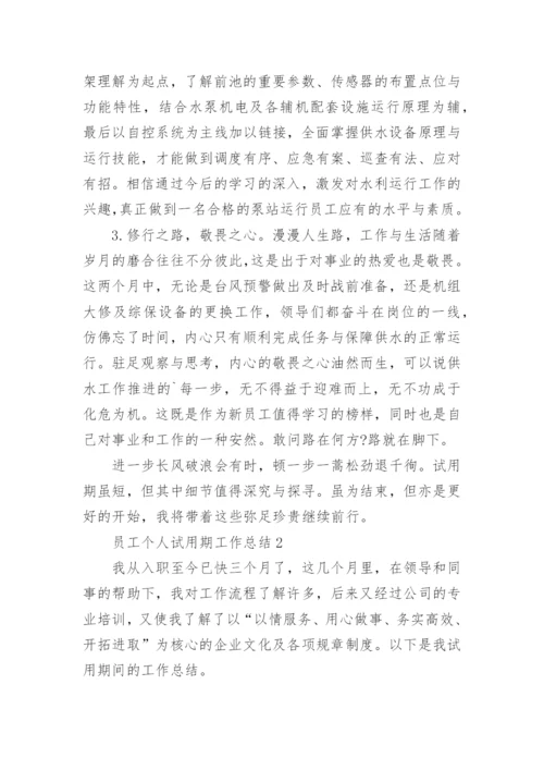 员工个人试用期工作总结精选10篇_员工试用期总结.docx