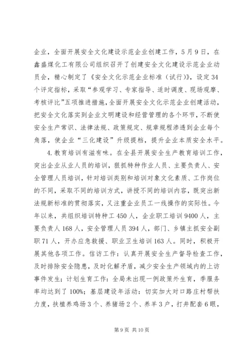 县安监局工作报告.docx