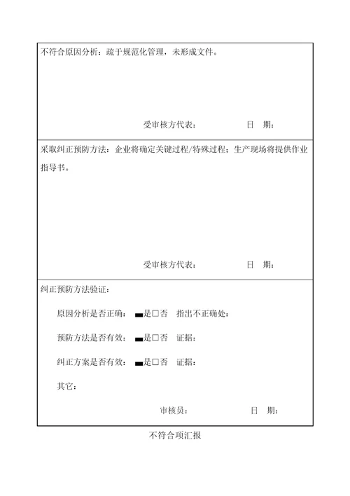 不符合项报告样稿