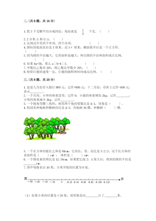 人教版小升初数学模拟试卷含答案（培优a卷）.docx