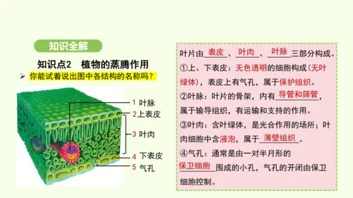 第三单元-第二章-第一节-水的利用与散失课件-2024-2025学年七年级生物下学期人教版(2024