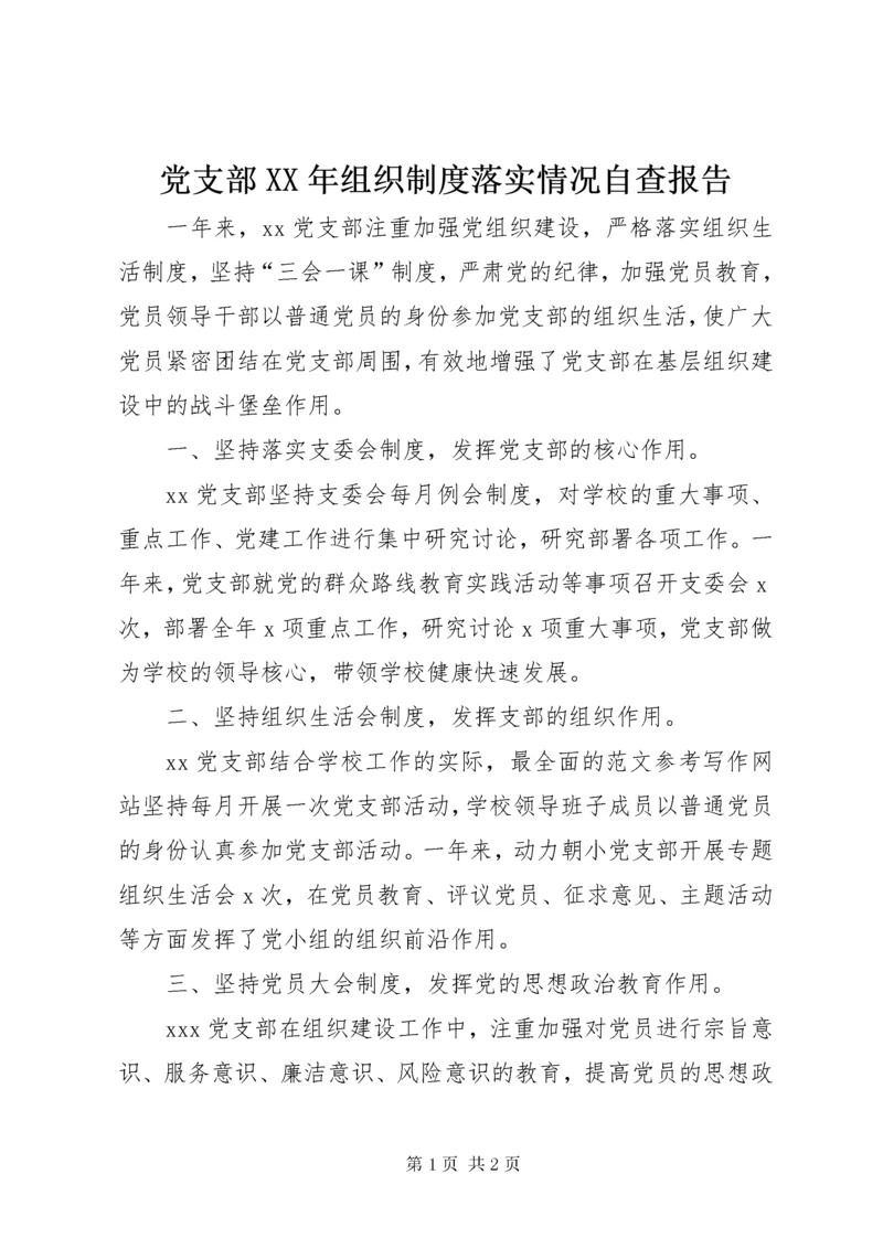 党支部某年组织制度落实情况自查报告.docx