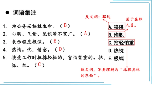 七上语文期中期末复习2_3词语运用每课晨读 课件(共47张PPT)