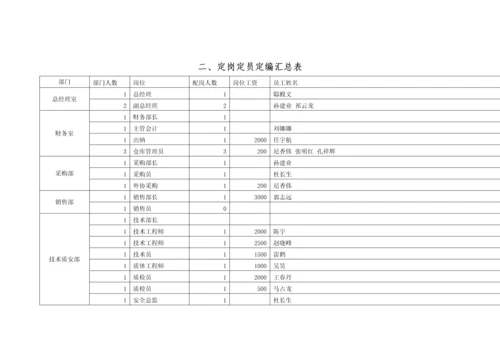 定岗定员定编方案.docx