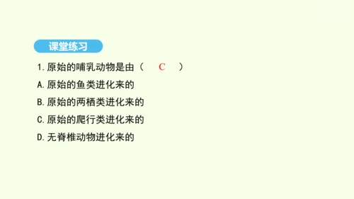 7.3.2生物进化的历程课件-人教版生物八年级下册(共23张PPT)