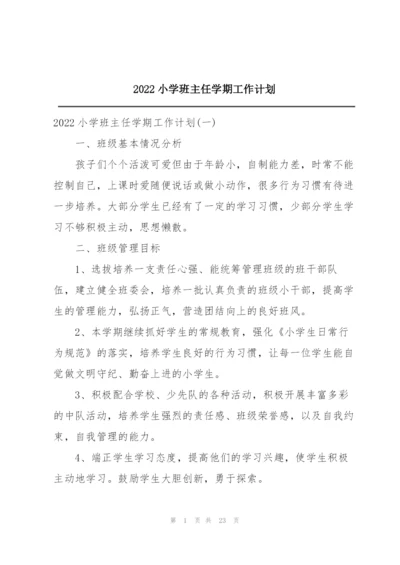 2022小学班主任学期工作计划.docx