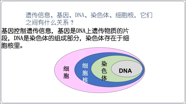 【2023秋人教七上生物期中复习考点梳理串讲+临考押题】第一章 细胞是生命活动的基本单位（串讲课件）