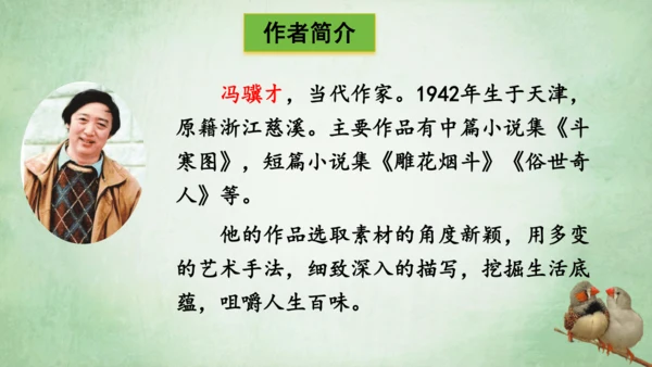 4.珍珠鸟 课件