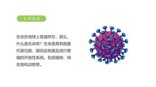 支原体呼吸道感染肺炎ppt课件模板