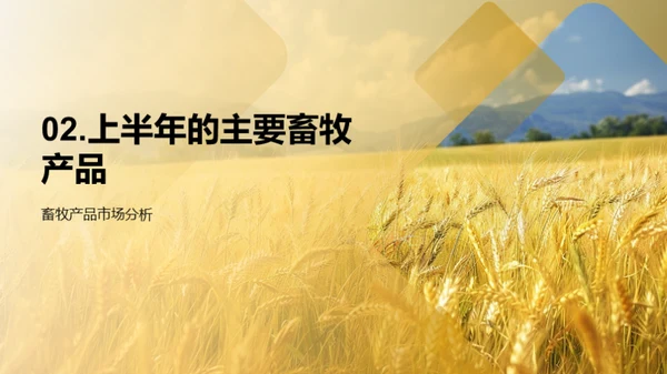 畜牧业务盘点
