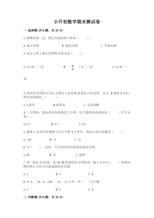 小升初数学期末测试卷word版.docx