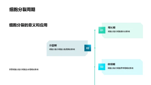 揭秘细胞分裂的奇妙之旅