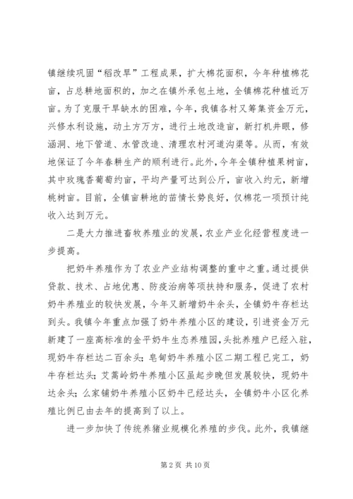 政府年工作总结和年工作计划.docx