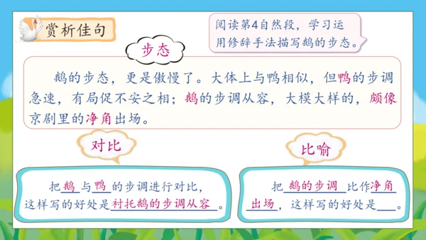 【核心素养】部编版语文四年级下册-15.白鹅 第2课时（课件）