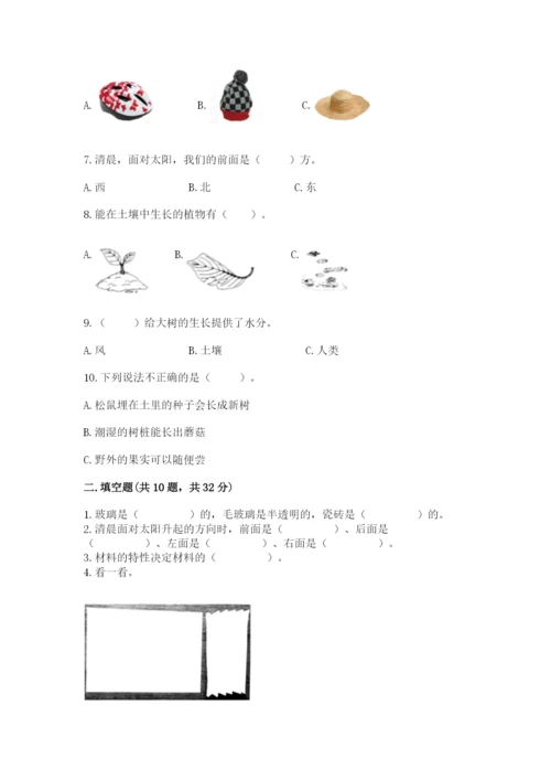 教科版科学二年级上册期末测试卷审定版.docx