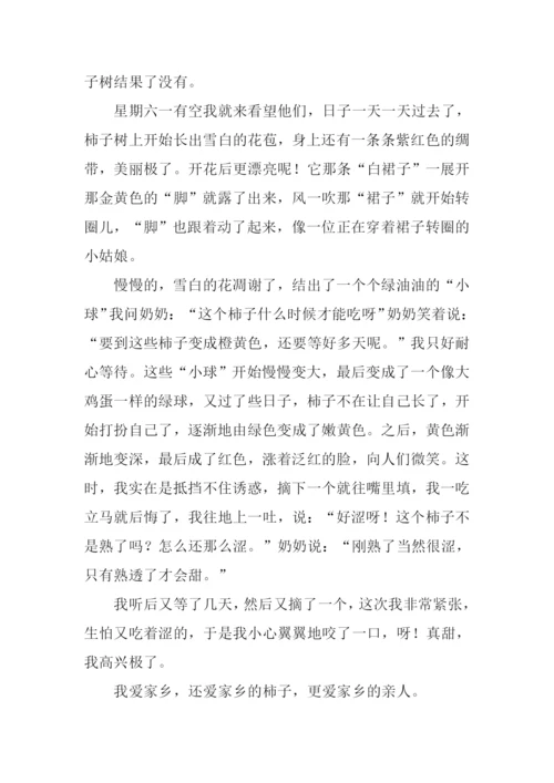 家乡的柿子树作文.docx