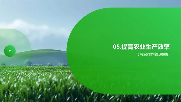 小寒农业应用讲解PPT模板