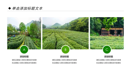 绿色清新茶园茶艺茶道文化动态PPT模板