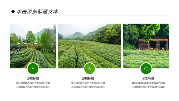 绿色清新茶园茶艺茶道文化动态PPT模板