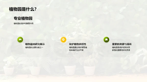 植物园：地球的绿色卫士