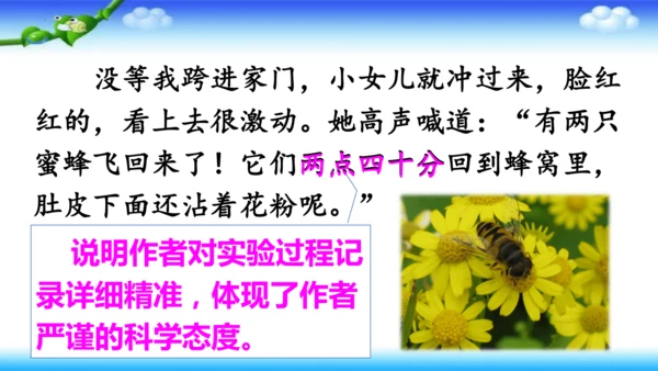 14《蜜蜂》课件