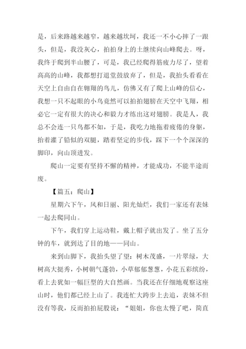 小学生爬山作文.docx
